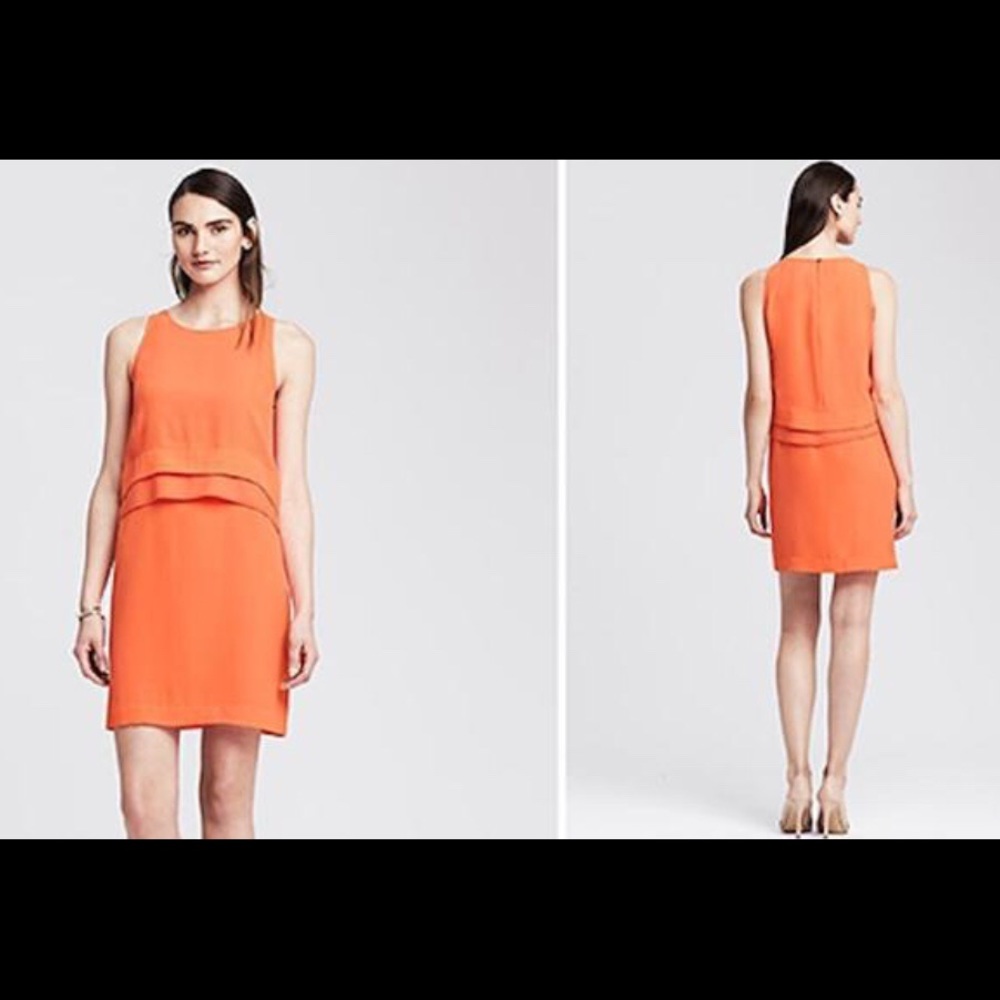 NWT Banana Republic Dress (6)